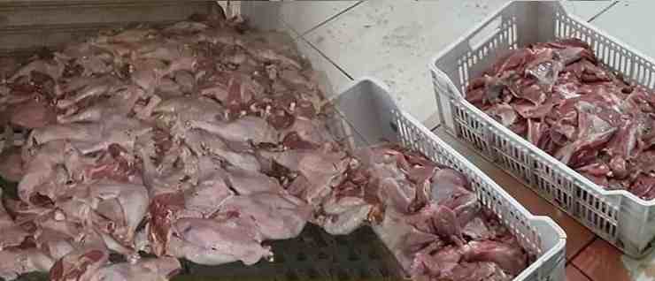 Tunisie – Sidi Bouzid : Saisie de près de 70 kg de viande avariée dans un restaurant scolaire