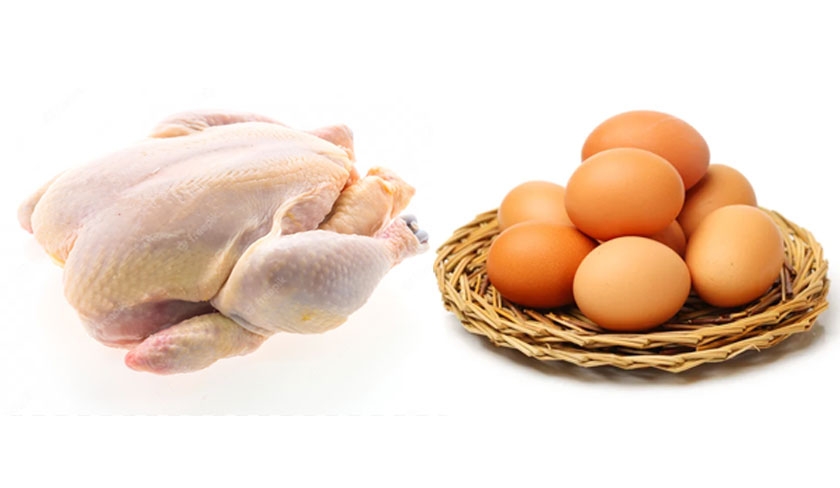 Ibrahim Nefzaoui: Les prix de volailles et des œufs sont toujours stables