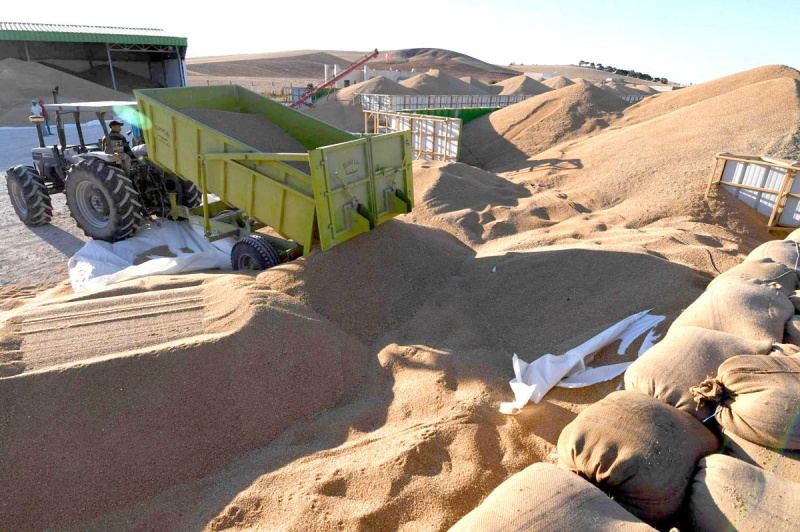 La Tunisie casse sa tirelire pour 100 000 tonnes de blé
