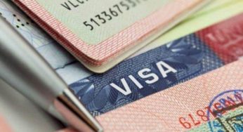 Révolution dans l’obtention du visa Schengen : Vers une procédure entièrement numérisée
