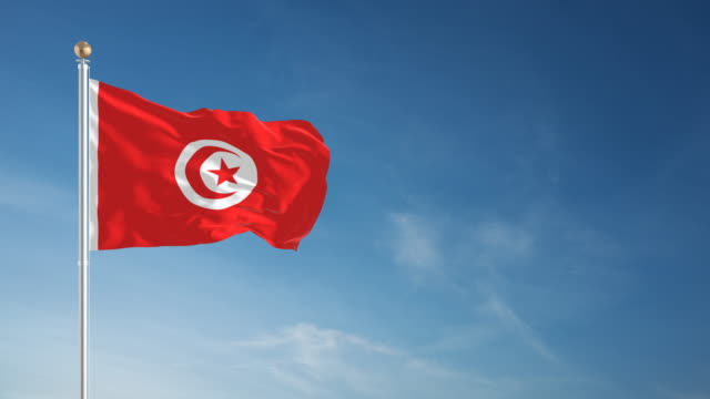 La Tunisie célèbre la journée de l’Afrique