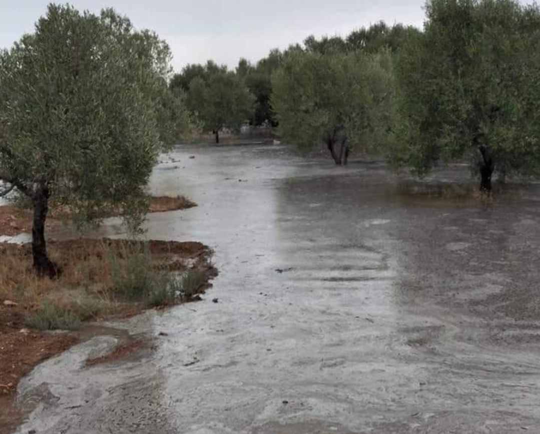 Des pluies importantes à Kasserine: Le comité régional de lutte contre les catastrophes reste en session permanente