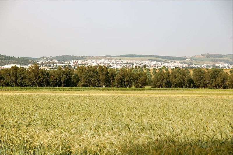 Changement climatique, production agricole et macroéconomie : le cas de la Tunisie