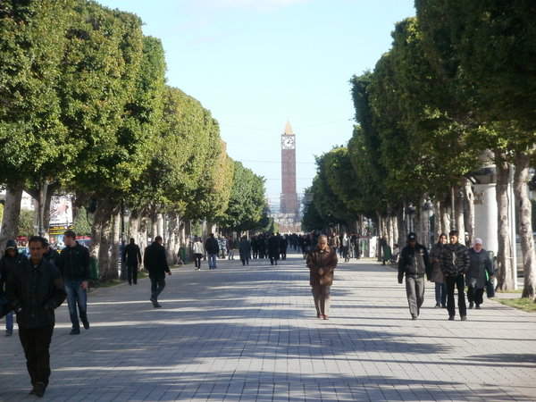 Tunisie – 50% des jeunes occupent des emplois informels (Etude)
