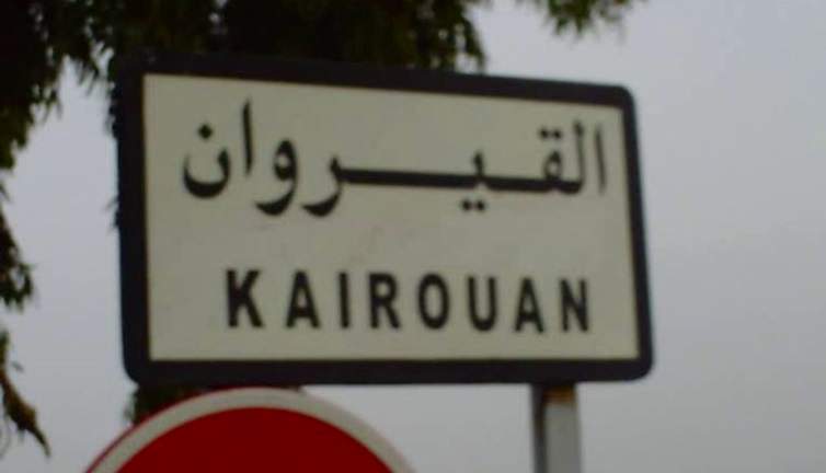 Kairouan-Incendie : 100 ha des forêts endommagées à Djebel Zagdoud
