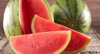 Comment choisir une bonne pastèque ?