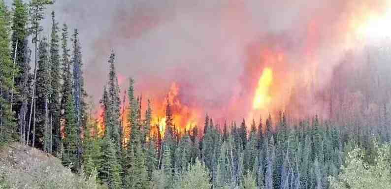 Le Québec en proie aux feux de forêt appelle à l’aide internationale