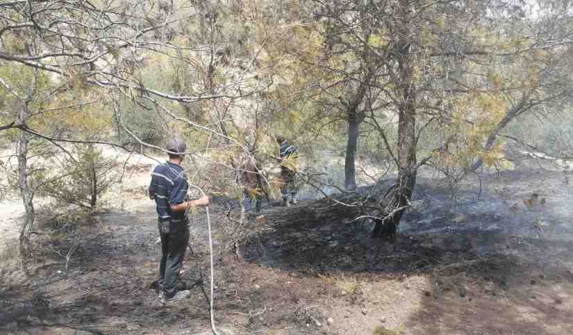 Les efforts se poursuivent pour maîtriser l’incendie au Mont Semmama [Déclaration]