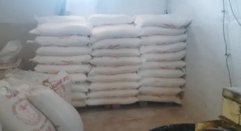 Kairouan : Des tonnes de semoule et de farine ont été saisies