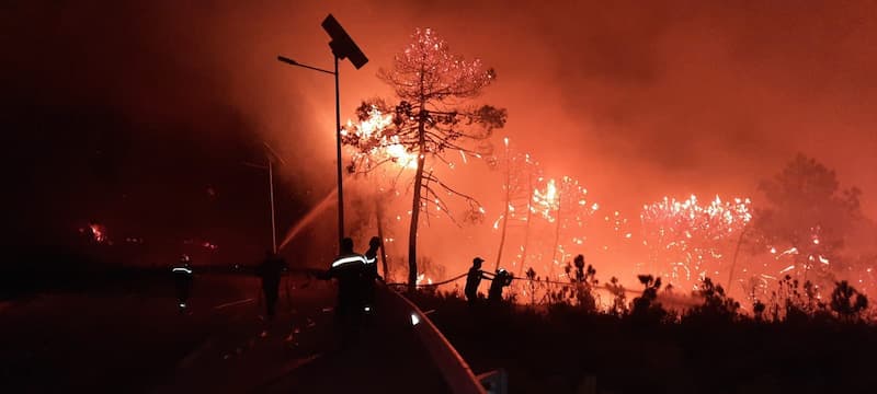 Incendie de Malloula (Tabarka): Un drame a été évité de peu !