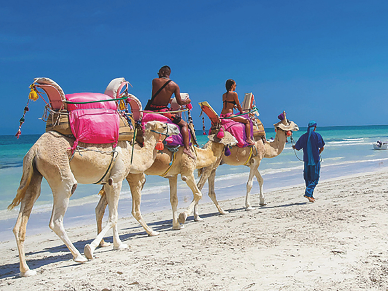 Tunisie: Le tourisme reprend des couleurs…Et oui les recettes touristiques sont au vert