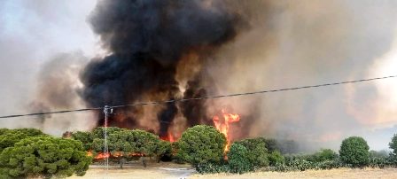 Tunisie – Sept incendies simultanés rien qu’à Tunis