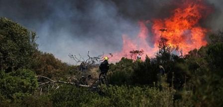 Tunisie – Siliana : Un incendie ravage deux hectares et demi de forêt à Bargou