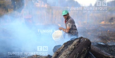 Tunisie – Béja : Décès d’un homme par intoxication aux fumées des incendies de forêt
