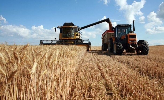 Récolte céréalière : Une baisse de 60% plus une autre catastrophe sur le marché mondial