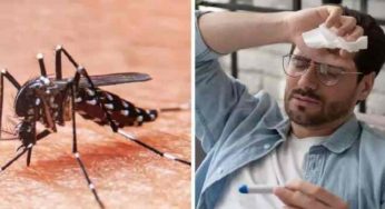 L’OMS présente l’agent pathogène qui sera responsable de la prochaine épidémie mondiale