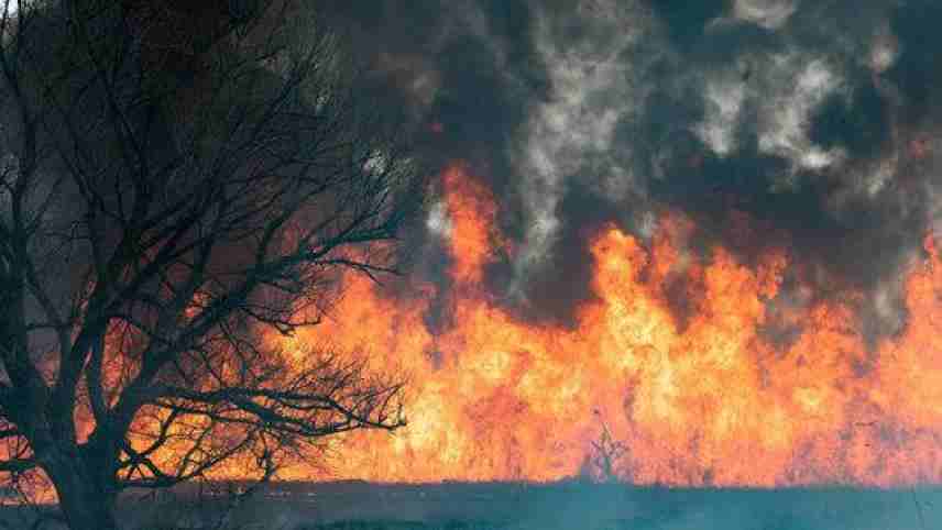 Tunisie – Kairouan : Un incendie se déclare dans le Djebel Krib à Haffouz