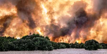 Incendies en Grèce : 230 pompiers des pays voisins attendus en renforts
