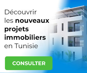 immobilier neuf