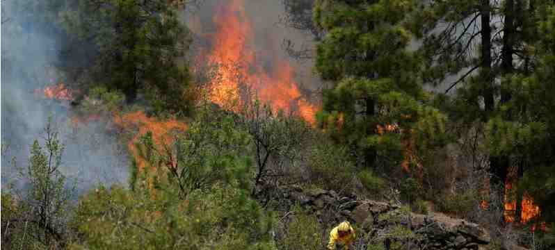 Espagne : îles Canaries : Evacuation de 4000 personnes à cause des incendies de forêt