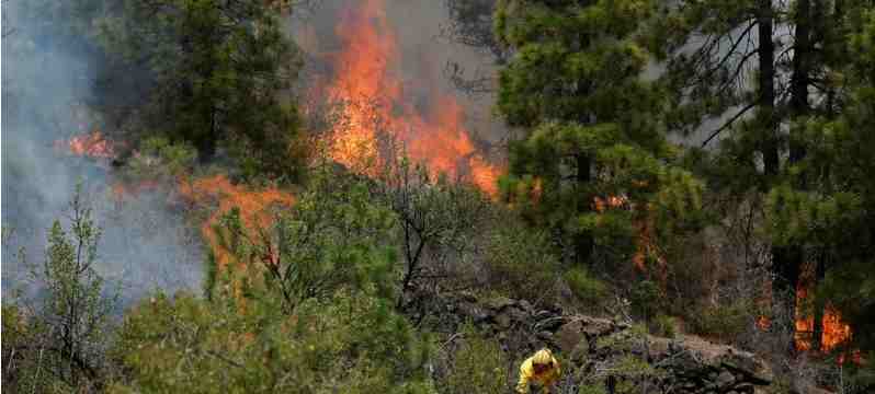 Espagne : îles Canaries : Evacuation de 4000 personnes à cause des incendies de forêt