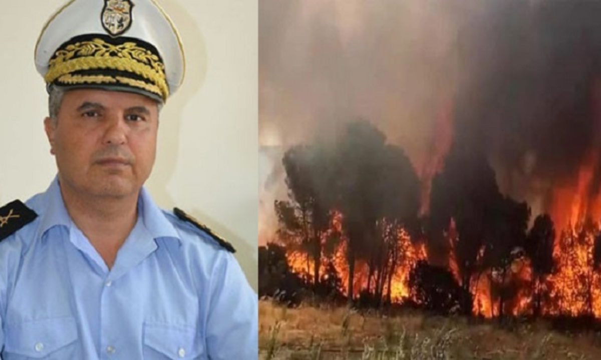 Moez Triaâ: 16 hectares de la forêt du Parc Ennahli endommagés par le feu