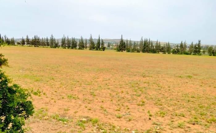 Manouba: Restitution d’un terrain situé à Mornaguia