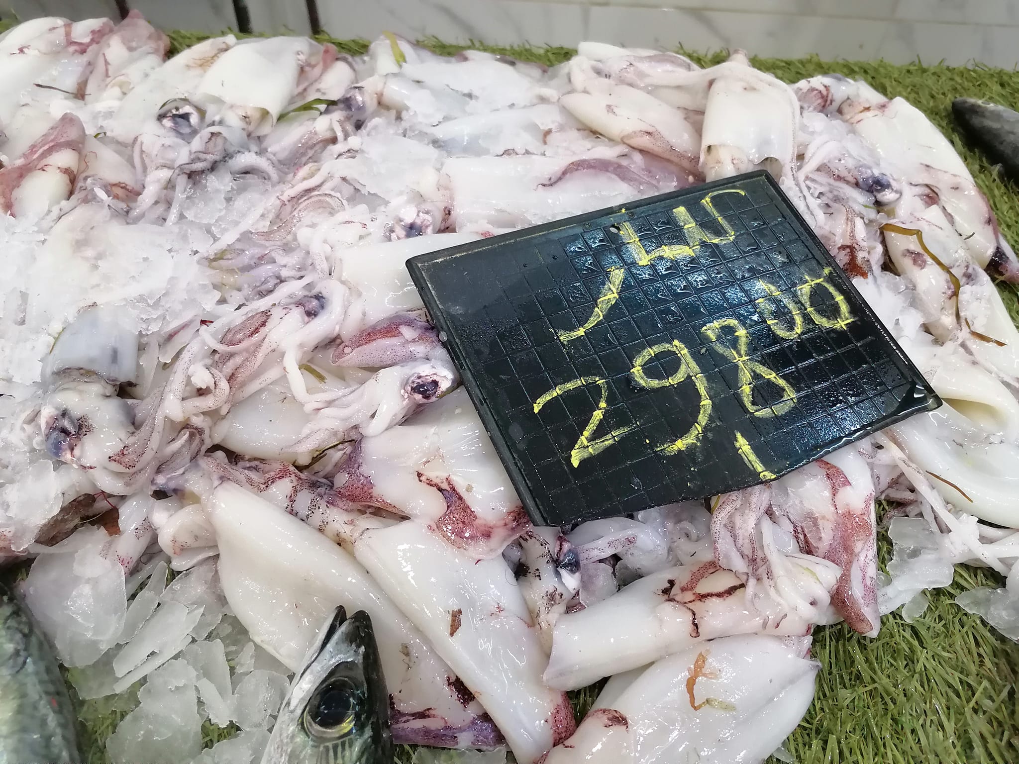 Prix au marché de Kairouan [Photos]