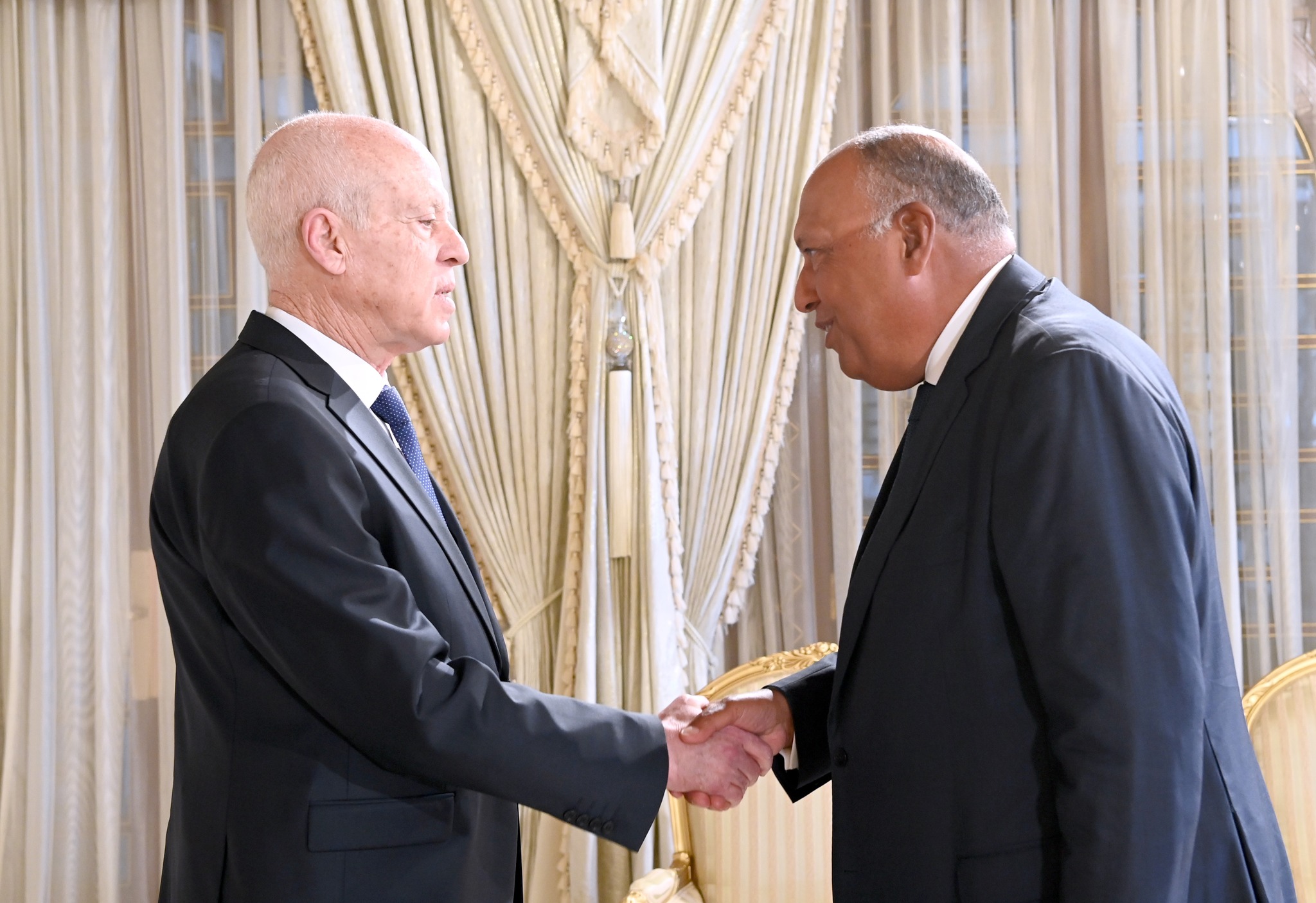 Kais Saïed reçoit le Chef de la diplomatie égyptienne