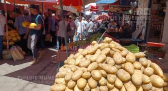 Prix au marché de Béja [Vidéo]