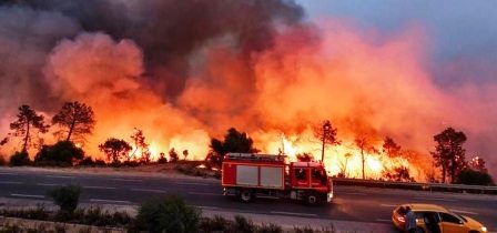 Algérie : Trois nouveaux feux de forêt se déclarent de façon simultanée dans différentes régions