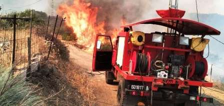 Algérie : Reprise des feux de forêts dans la Wilaya de Bejaïa