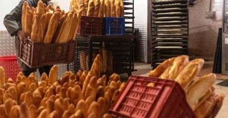 Tunisie – Ben Arous : Saisie de grandes quantités de farine et de 1000 baguettes