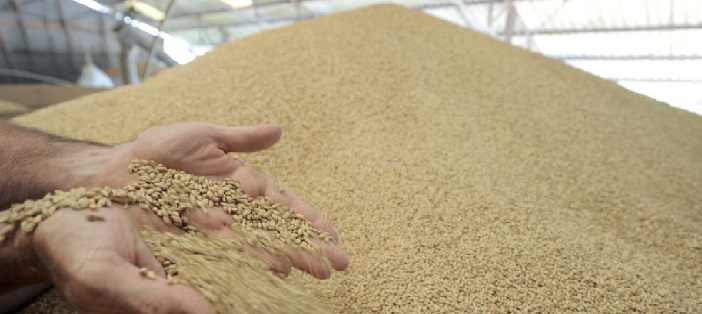 Tunisie – Bizerte : Saisie de 10 tonnes de blé et une demi tonne de semoule