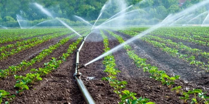 Des investissements pour la rationalisation de l’eau dans le secteur agricole