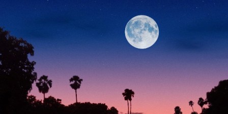 La Lune Bleue La Tunisie a rendez-vous avec « la lune bleue » - Tunisie