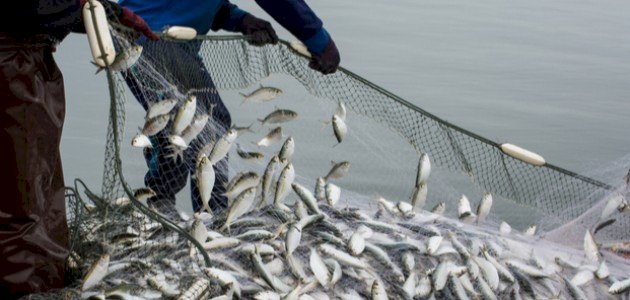 Le braconnage menace les ressources halieutiques