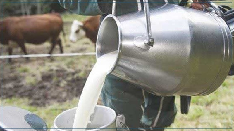 Le ministère de l’Agriculture annonce une baisse des stocks de lait à fin juillet