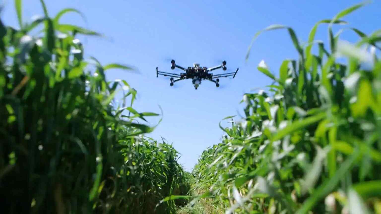 Focus sur l’agri-tech et les facteurs de croissance des TPE agricoles