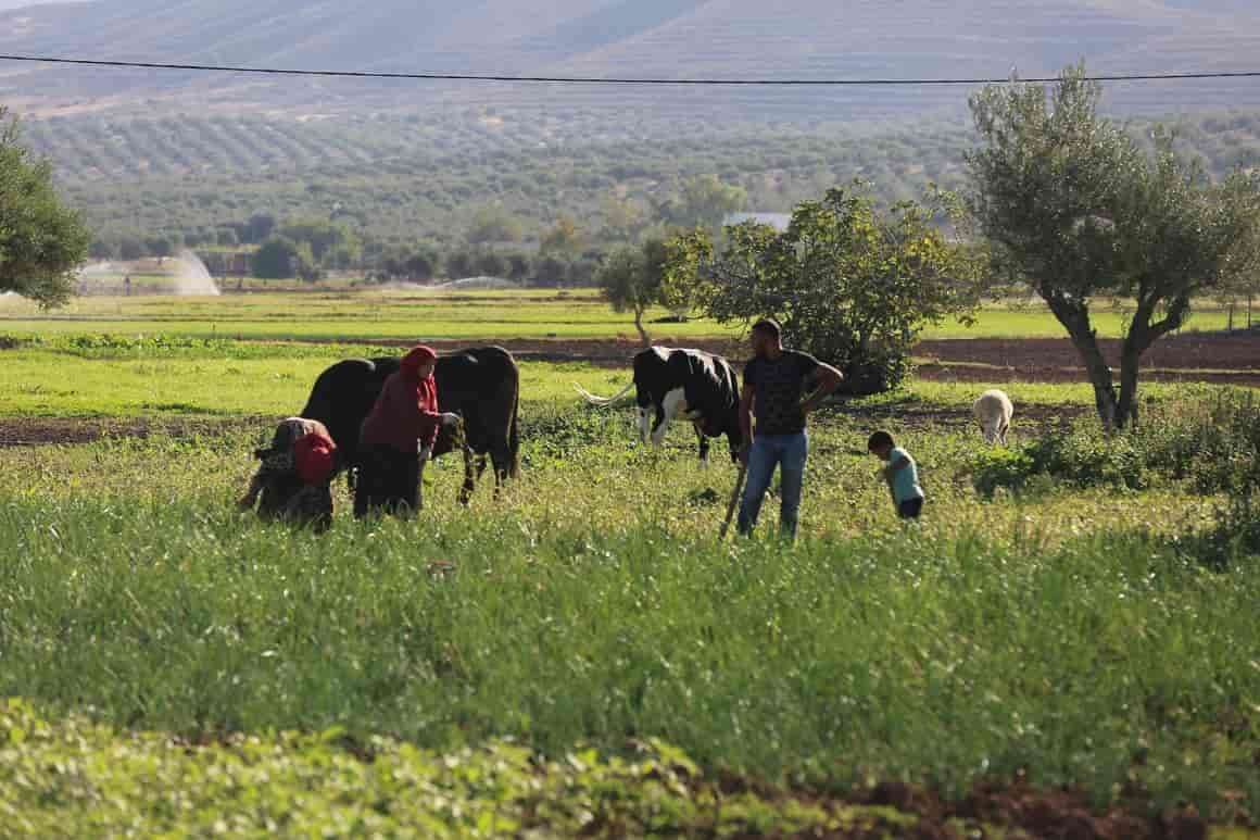 Tunisie – Les pratiques agricoles non durables entraineront des pertes importantes
