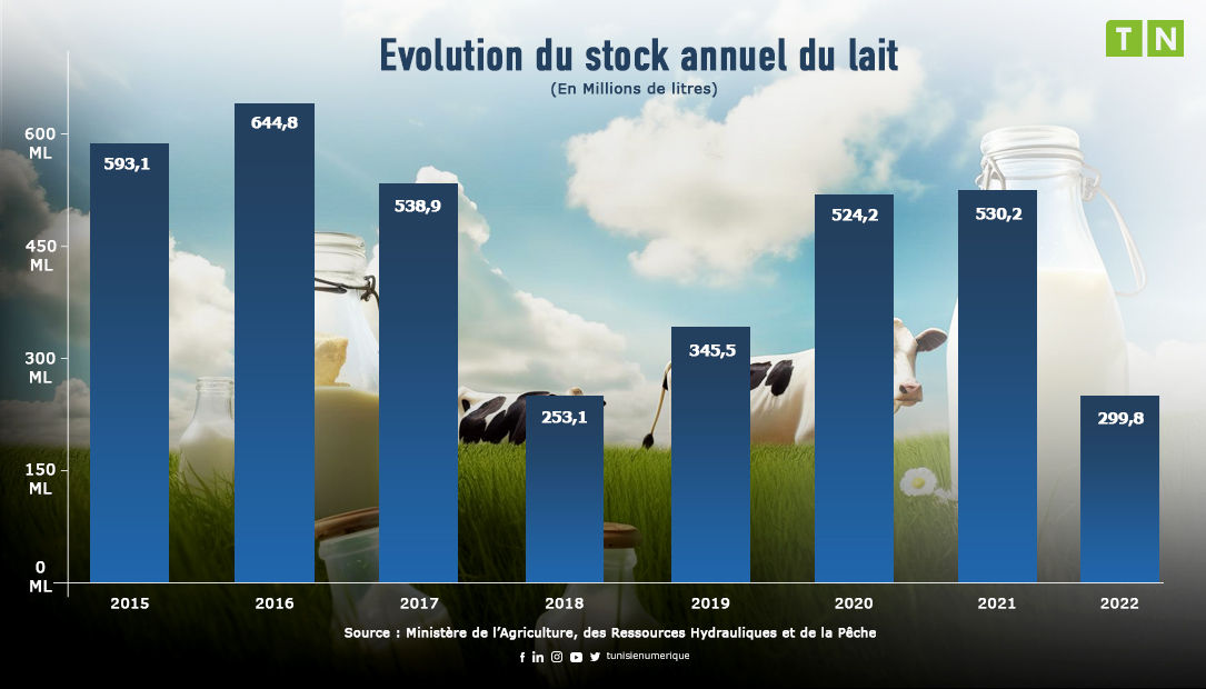 Industrie laitière : crises récurrents et défis de développement