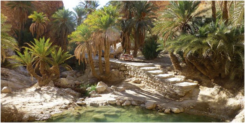 Gabès : Des projets bloqués redémarrent, du nouveau pour l’oasis d’El Hamma