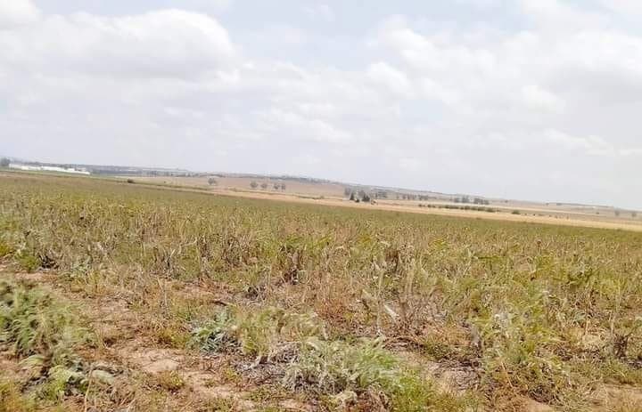 Nabeul: L’Etat récupère une parcelle domaniale agricole de 63 hectares