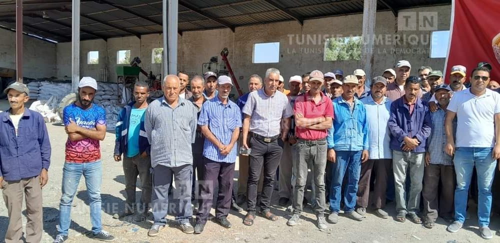 Beja: Grève de 3 jours dans une entreprise de production de lait (Photos)