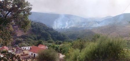 Tunisie – Aïn Draham : Un énième feu de forêt menace les habitations