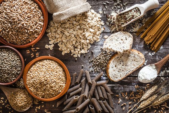 Pourquoi manger des féculents est important pour notre corps ?