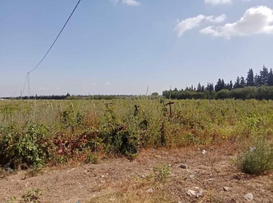 L’Etat récupère un terrain domanial agricole d’une superficie de 117 hectares dans le gouvernorat de Nabeul