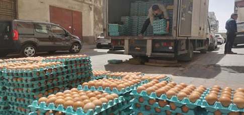Tunisie – Béja : Saisie de 60 milles œufs