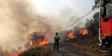 Tunisie – La forêt d’El Atatfa brûle toujours et les pompiers se positionnent près des groupements d’habitations