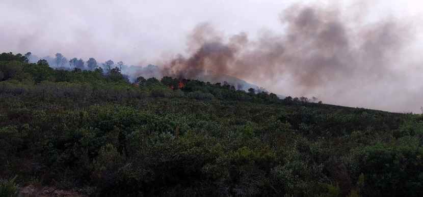 Tunisie – Deux nouveaux feux de forêt à Sejnane